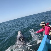 IMG 0001 2 (332)